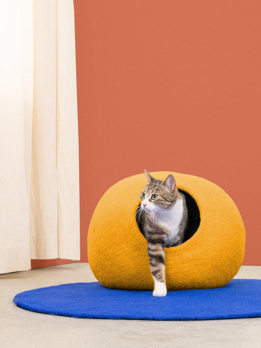 Grotta del gatto Risa