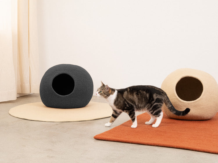 Grotta del gatto Kuno