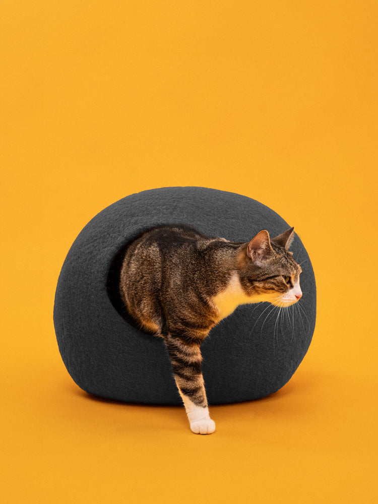 Grotta del gatto Kuno